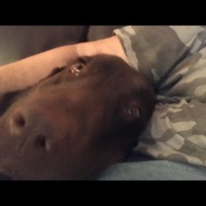 Meet your Posher, Terri